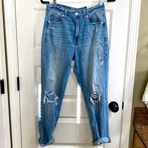 NWT American Eagle Cool Classic Mom Jean 28/6